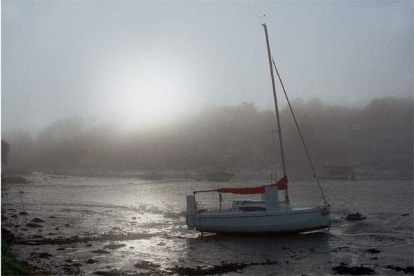 Lerryn copy.jpg - Lerryn